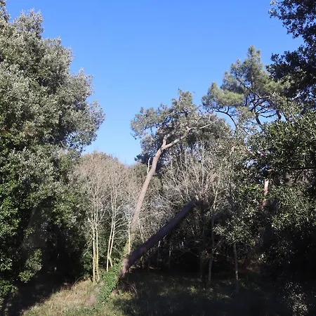 Pascanono - Location De Maison De Avec Jardin Pour à Le Palais, Belle-ile-en-mer * Le Palais